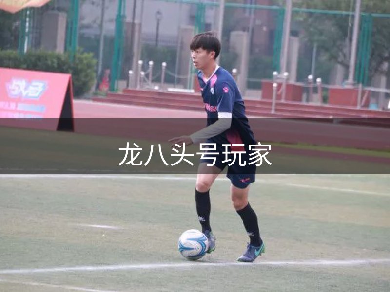 了解龙八头号玩家